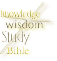 Study